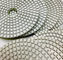 Porcellana ceramica 100mm 100 Grit Diamond Polishing Pad delle mattonelle